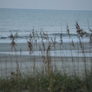 Meet your Posher, Irka